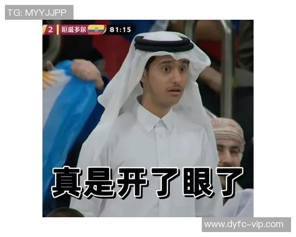 荷兰足球明星表情包图片分享让你轻松搞定各种场合的幽默互动